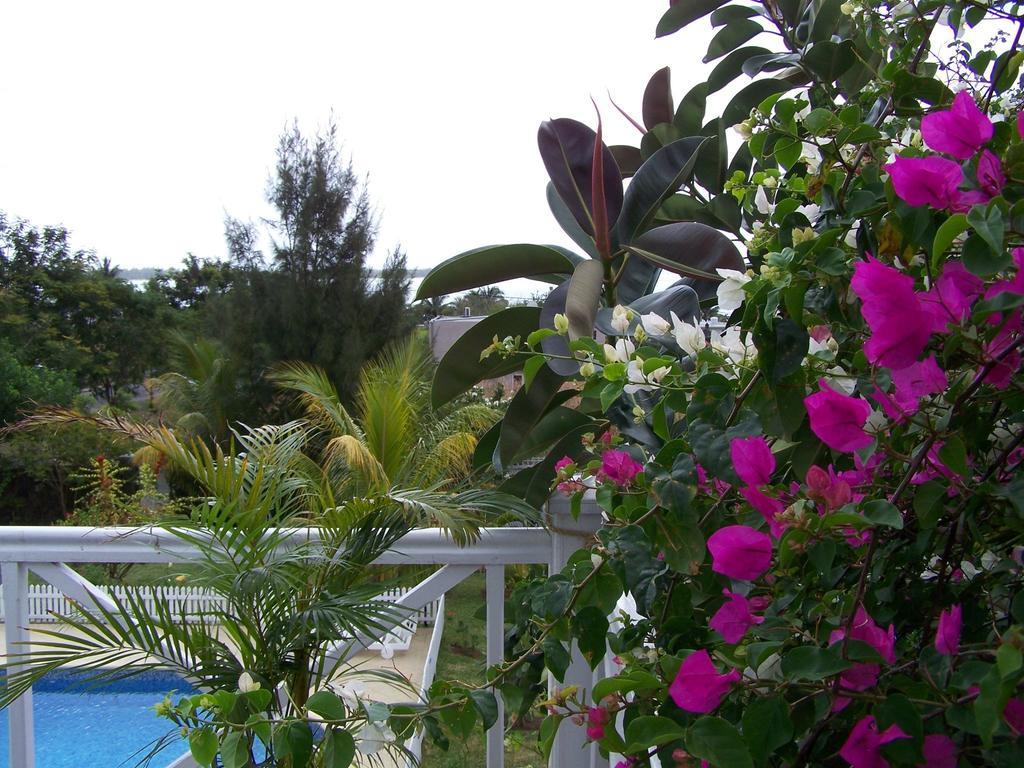 Bed And Breakfast Maison Papaye La Gaulette Luaran gambar
