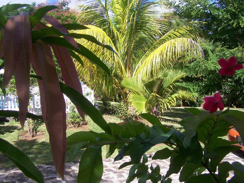 Bed And Breakfast Maison Papaye La Gaulette Luaran gambar