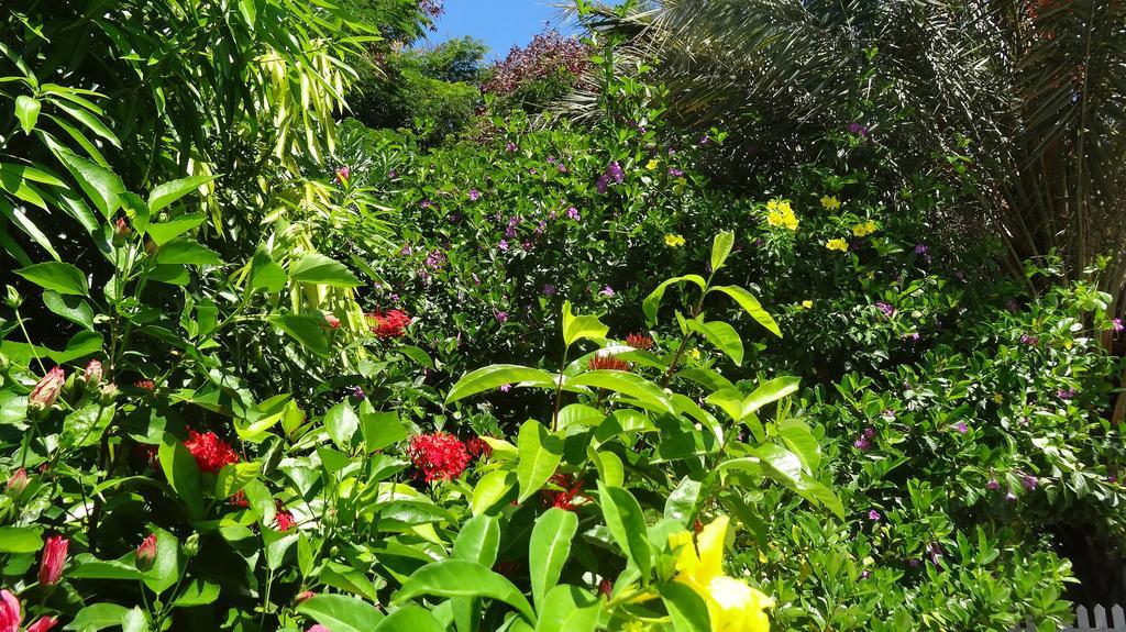 Bed And Breakfast Maison Papaye La Gaulette Luaran gambar
