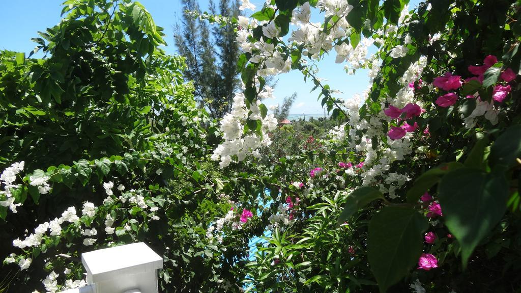 Bed And Breakfast Maison Papaye La Gaulette Luaran gambar
